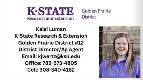 Kelsi Photo information