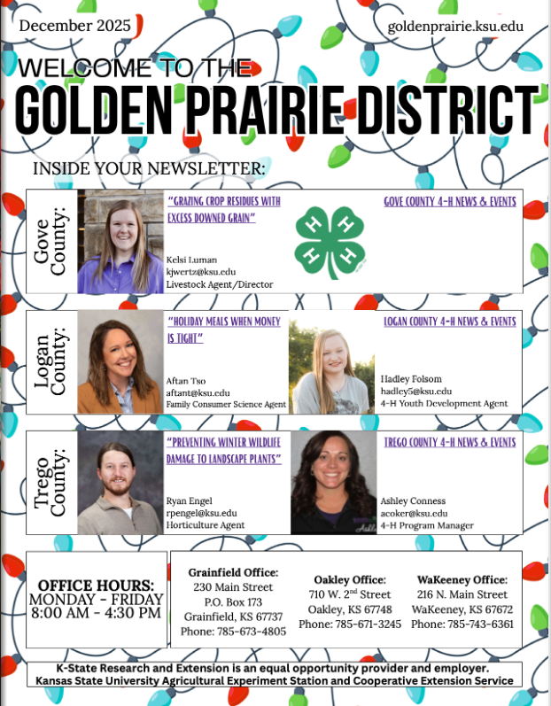 2025 December Newsletter