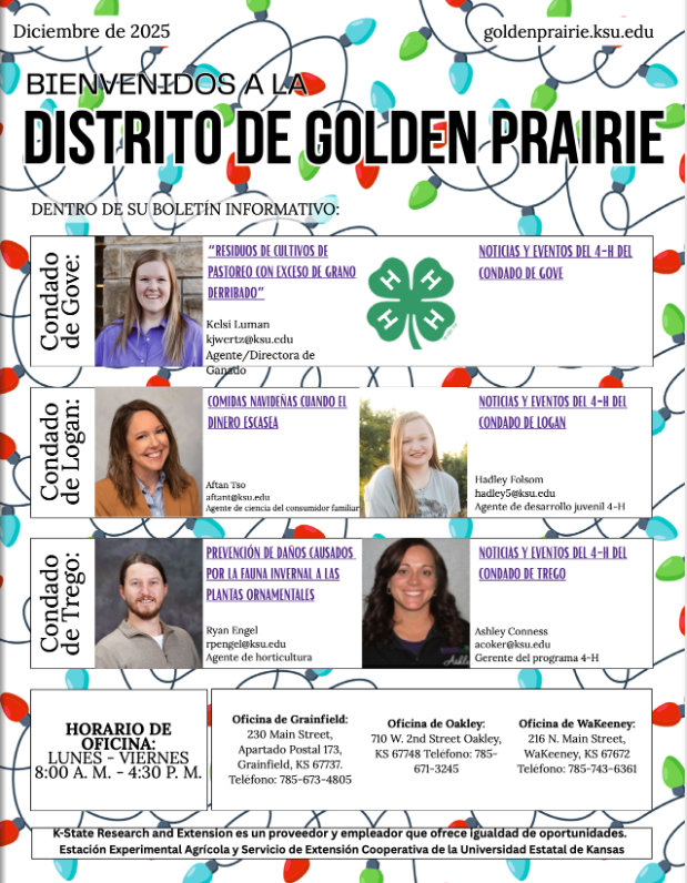 2025 December Newsletter Spanish