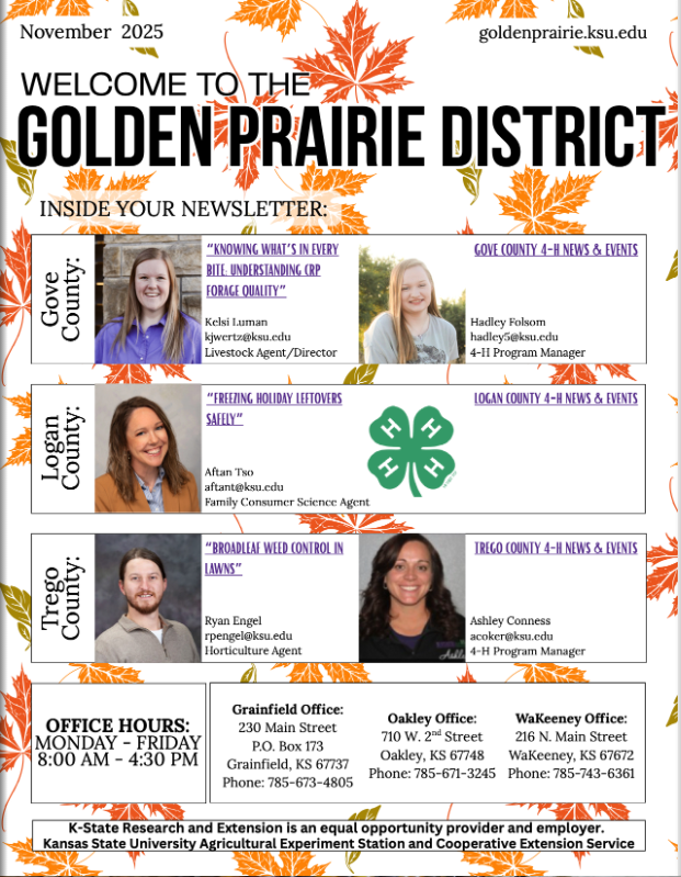 2025 November Newsletter