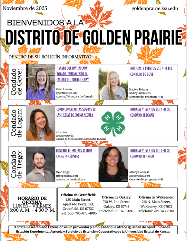 2025 November Newsletter Spanish