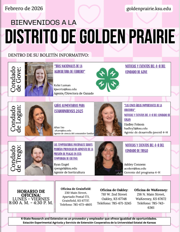 2026 February Newsletter Spanish