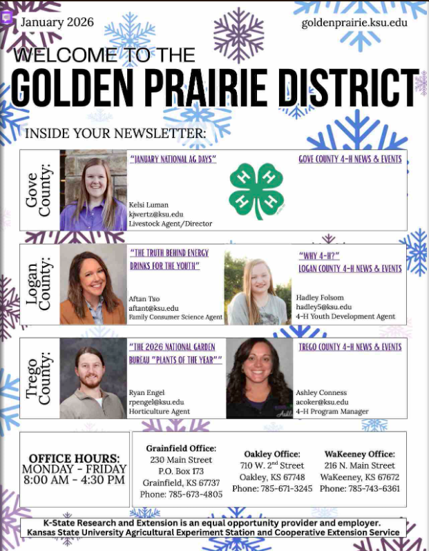 2026 January Newsletter 