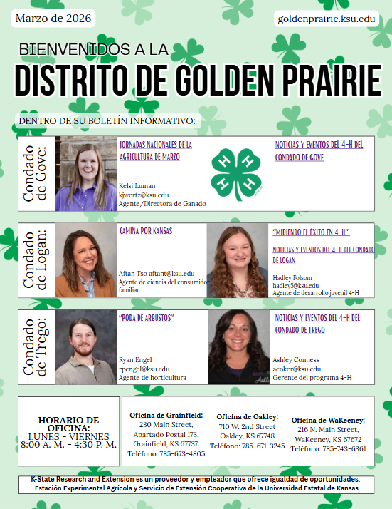 2026 March Newsletter Spanish