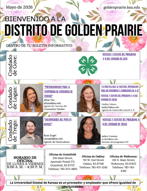 2026 May Newsletter Spanish